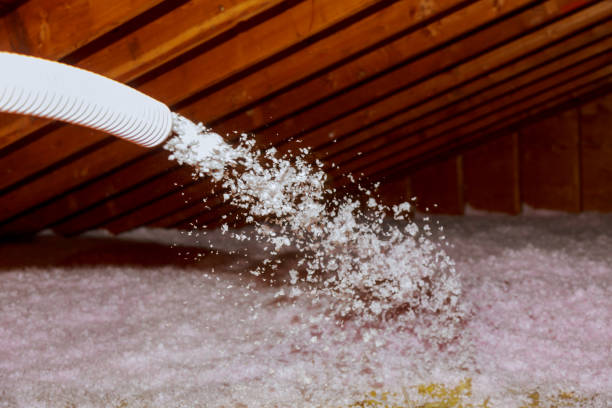 Best Insulation Inspection Services  in Tyro, NC