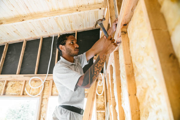 Best Insulation Installation Cost  in Tyro, NC