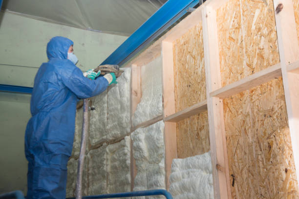Best Local Insulation Services  in Tyro, NC