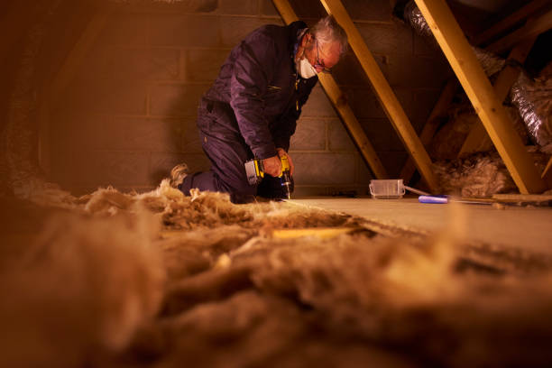 Best Insulation for Commercial Buildings  in Tyro, NC