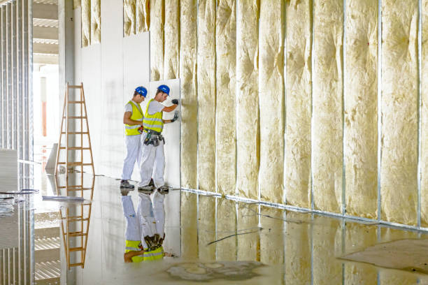 Best Fiberglass Insulation  in Tyro, NC
